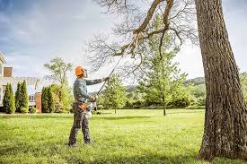 Trusted Great Notch, NJ Tree Removal Experts
