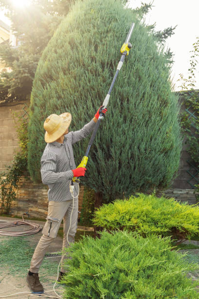 Best Tree Preservation Services  in Great Notch, NJ